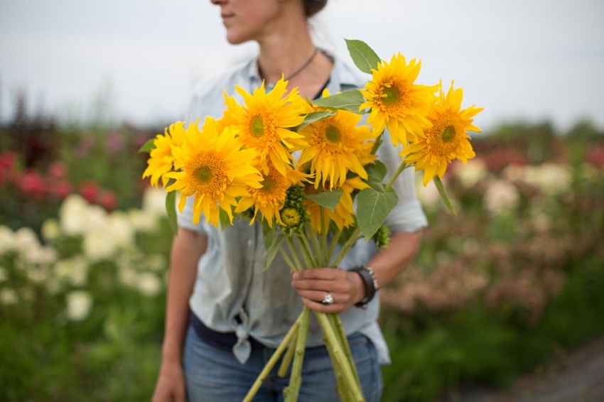 Are Sunflowers Good Cut Flowers