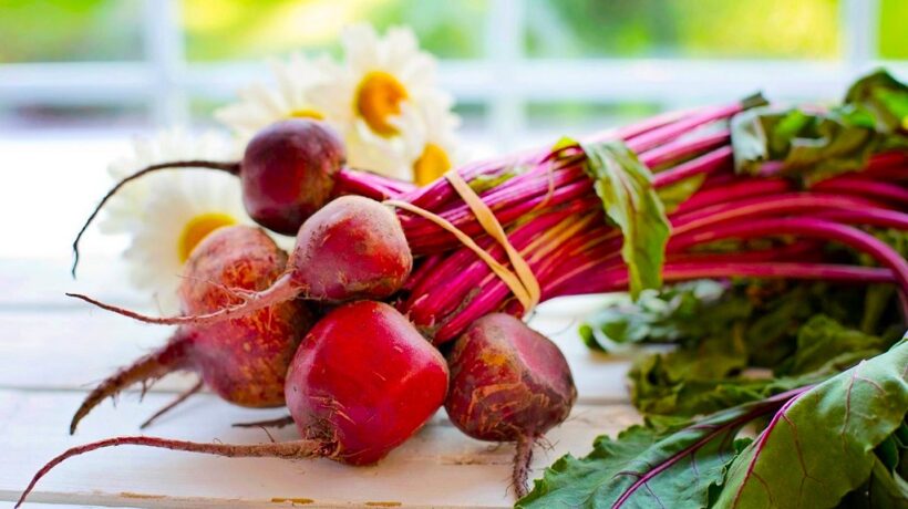 Beets: A Guide to Perfect Boiling, Preparation, and Serving