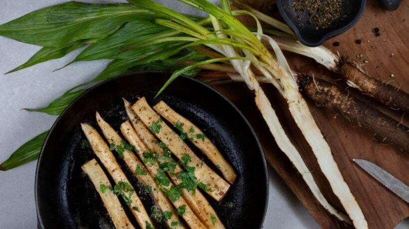 Black Salsify: Unveiling the Secrets of Perfect Boiling