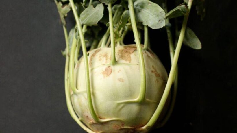 Kohlrabi Boiling Time: A Comprehensive Guide for Perfect Results